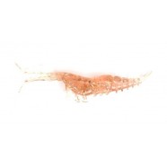 Силіконка для риби, EOS Crawfish, 90мм, 5шт/уп, колір №502